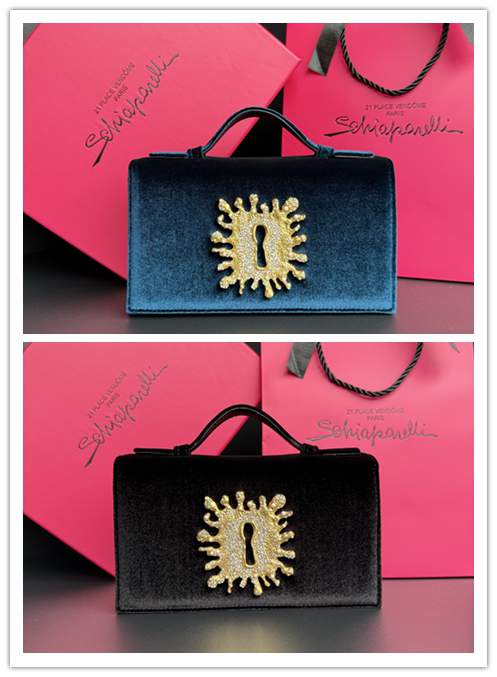 Picture of Schiaparelli Handbags _SKUfw236181078fw